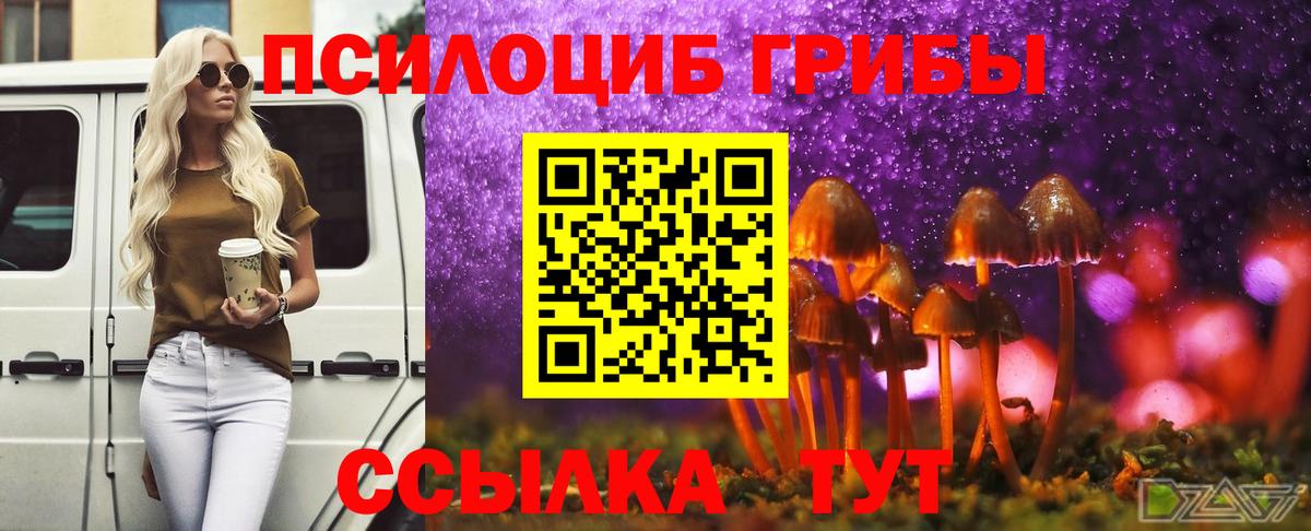 Топки  Галлюциногенные грибы Cubensis  Вход с VPN 